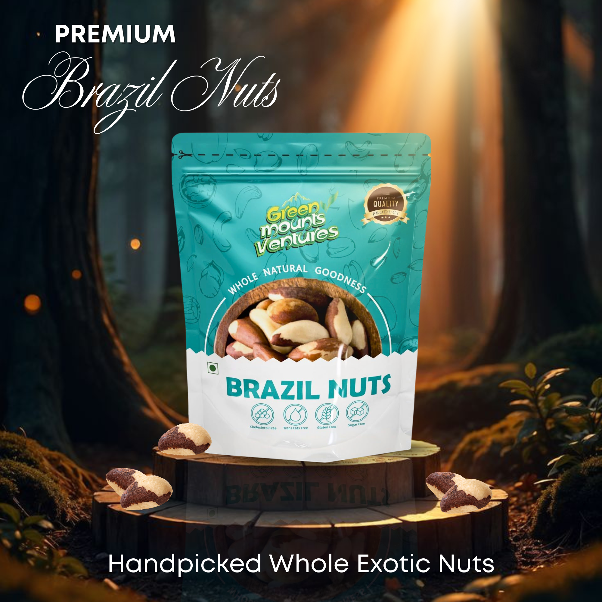 Premium Brazil Nuts – Exotic Superfood for Wellness